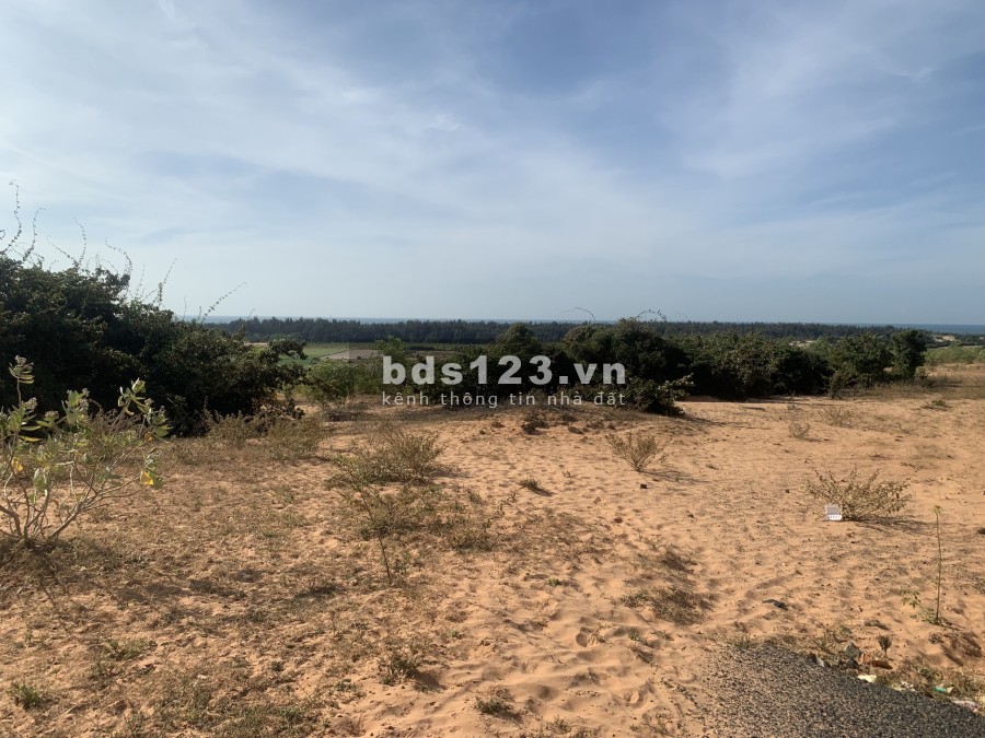 Gấp - Bán đất vườn tặng farmstay full nôi thất tại xã Tuy Phong - Bình Thuận sở hữu vĩnh viển
