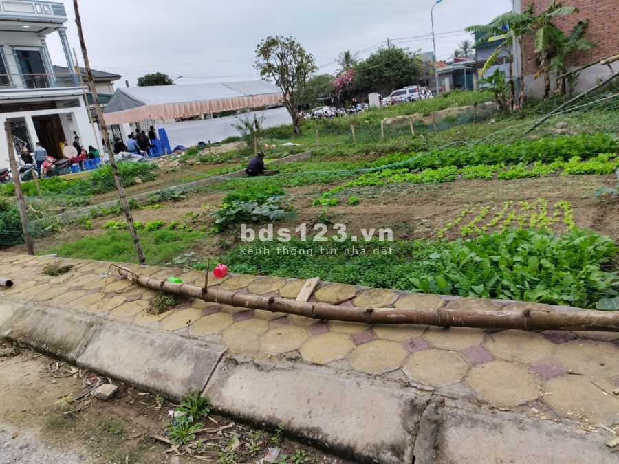 Bán đất nở hậu diện tích sử dụng 199m2, lô góc Đại lộ Nam Sông Mã sổ đỏ trao tay, lhcc