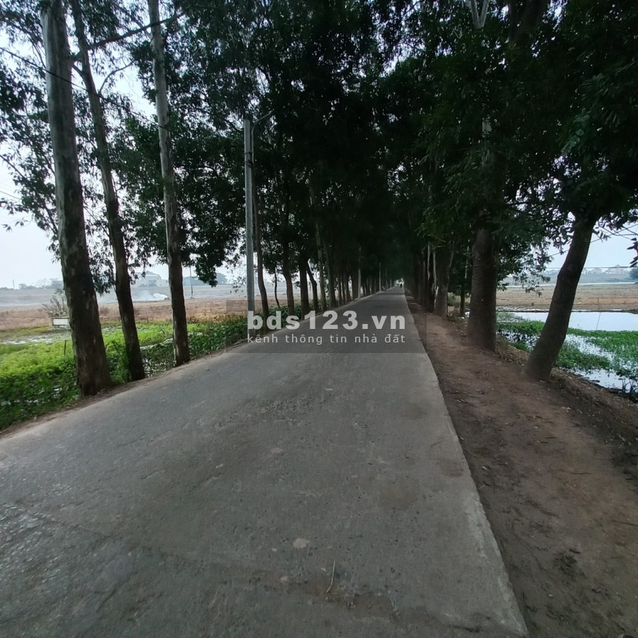 Chính chủ bán 50.5m2 thổ cư Tráng Việt - Mê Linh, đường ô tô, giá công nhân, phù hợp ở và đầu tư