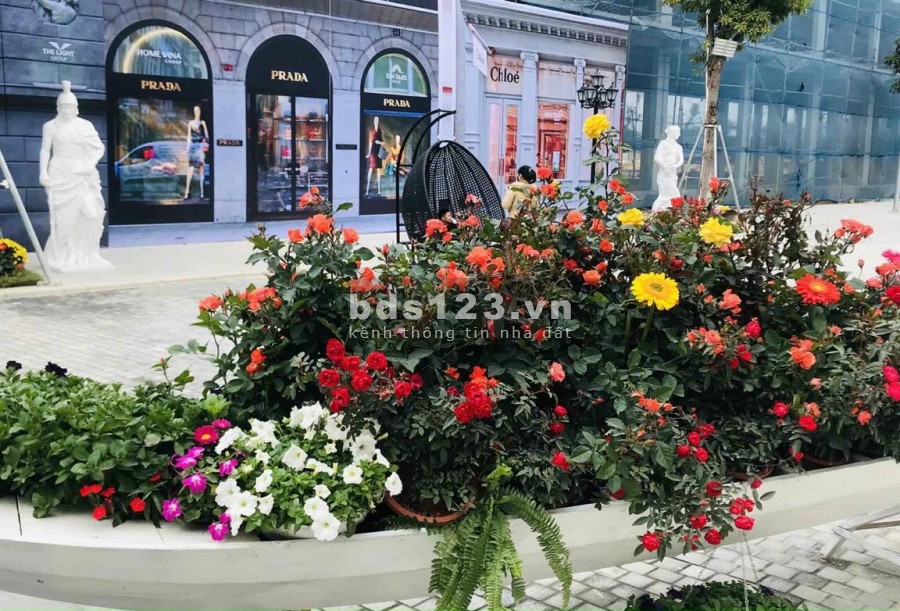 Bán nền shophouse (đất nền) tại KĐT Danko City Thái Nguyên giá đầu tư rẻ nhất thị trường.