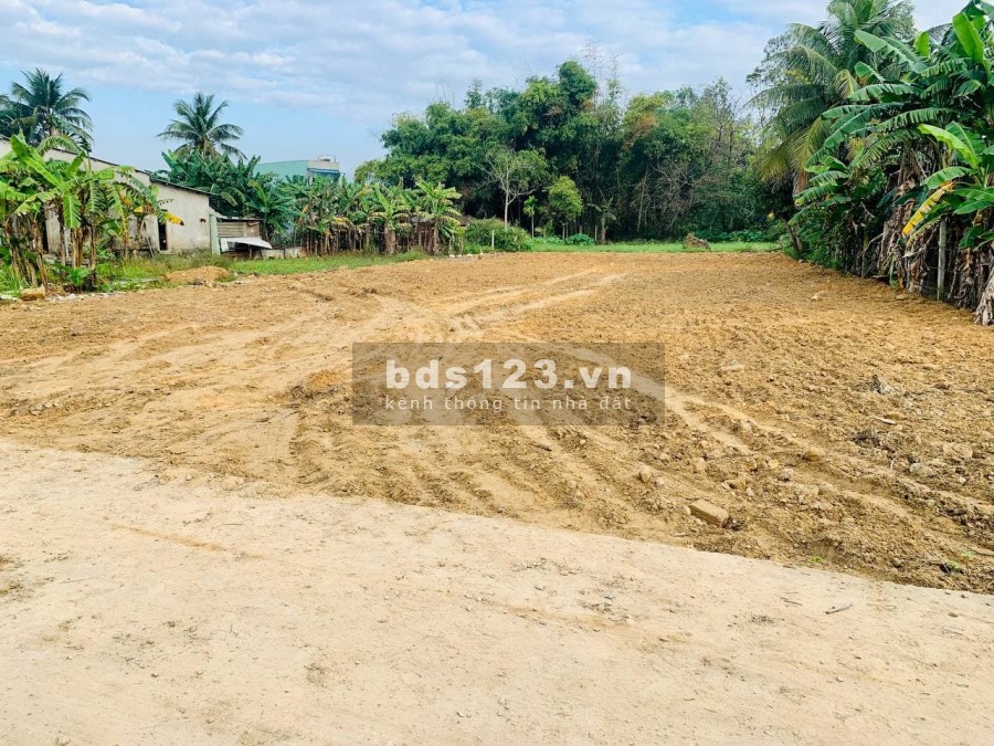 Chủ uỷ quyền bán lô đất diện tích lớn 500m2 gần đường Quốc Lộ, khu dân cư, tiện ích đầy đủ
