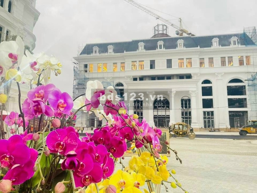 Bán nền shophouse (đất nền) tại KĐT Danko City Thái Nguyên giá đầu tư rẻ nhất thị trường.