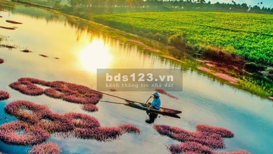 LÔ ĐÂT VIEW TRỰC DIỆN ĐỒI CHÈ, HỒ TẢO HỒNG GIÁ 8TR/M2