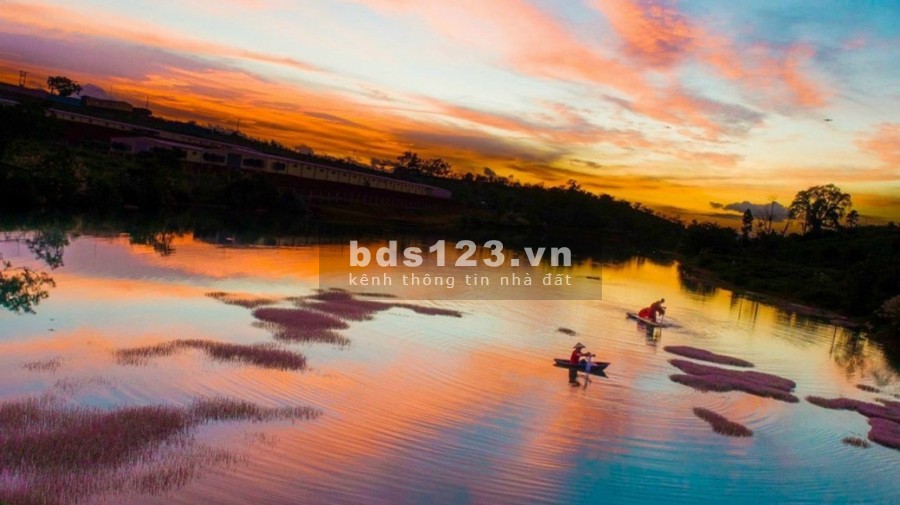 LÔ ĐÂT VIEW TRỰC DIỆN ĐỒI CHÈ, HỒ TẢO HỒNG GIÁ 8TR/M2