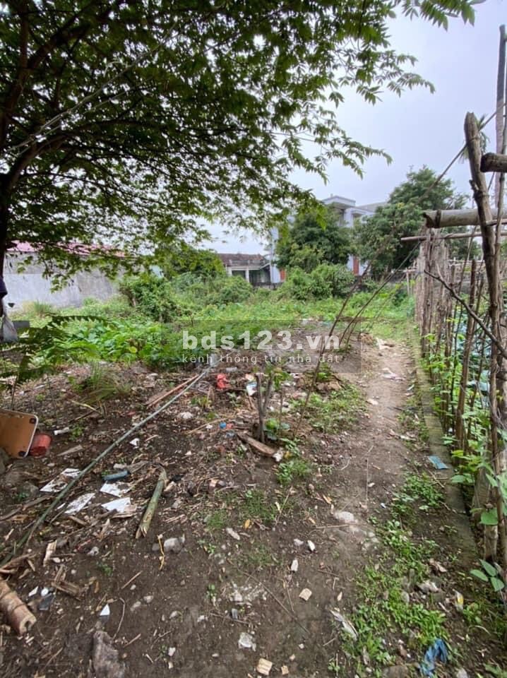 Chủ gửi bán lô đất Quỳnh Hoàng, Nam Sơn. Ngay cổng làng vào cách đường 351 tầm 200m