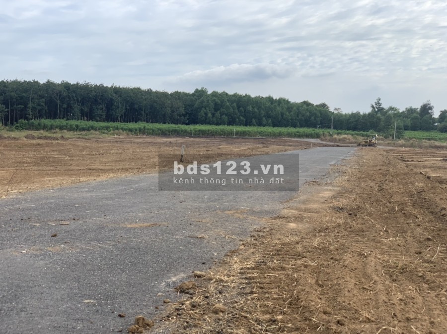 Sổ sẵn công chứng ngay đất sào 2200m2 ONT, đường nhựa ấp 4 xã Phước Bình - giá siêu đầu tư