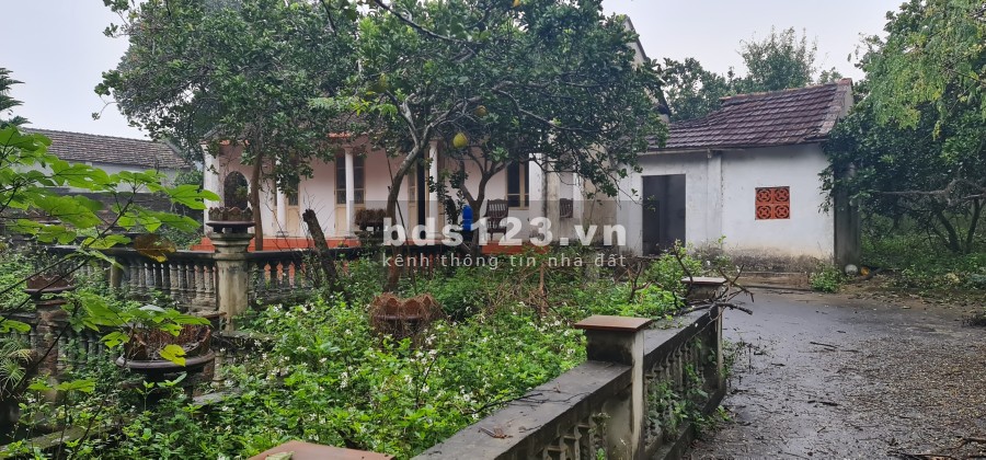 Hơn 4000m còn sót tại Phú Cát giá rẻ bán nhanh liên hệ xem đất 0988303298 giá tốt đầu tư