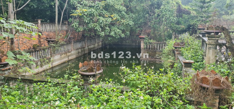 Hơn 4000m còn sót tại Phú Cát giá rẻ bán nhanh liên hệ xem đất 0988303298 giá tốt đầu tư