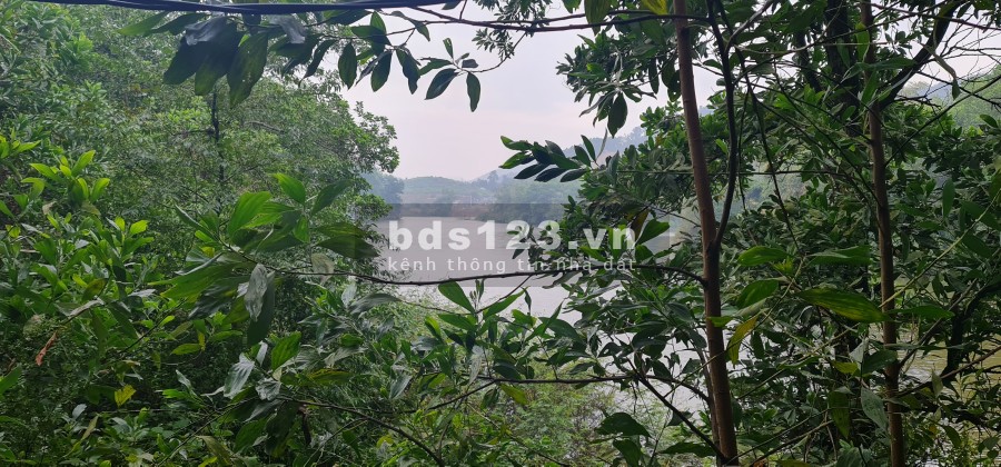 Chính chủ cần tiền bán gấp 6,4ha tại Tiến Xuân liên hệ 0988303298, giá đầu tư sin lời cao