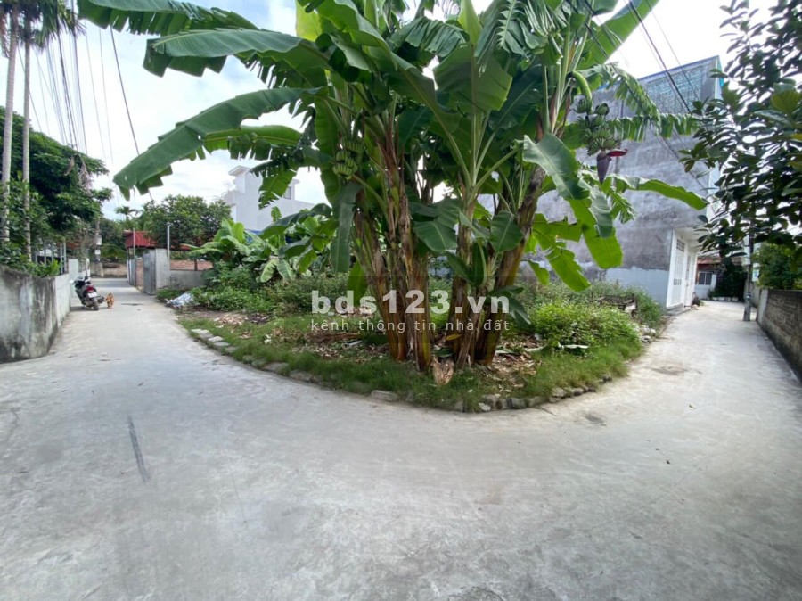 Bán lô đất diện tích sử dụng 55m2 tại Vân tra, An Đồng, An Dương giá 990 triệu