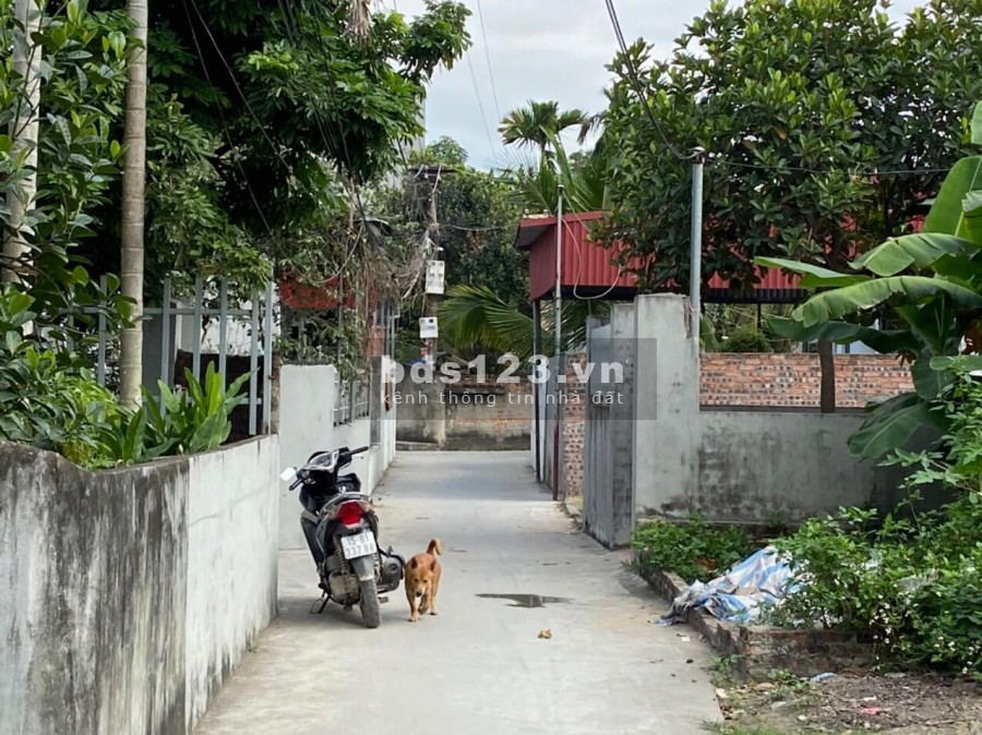 Bán lô đất diện tích sử dụng 55m2 tại Vân tra, An Đồng, An Dương giá 990 triệu