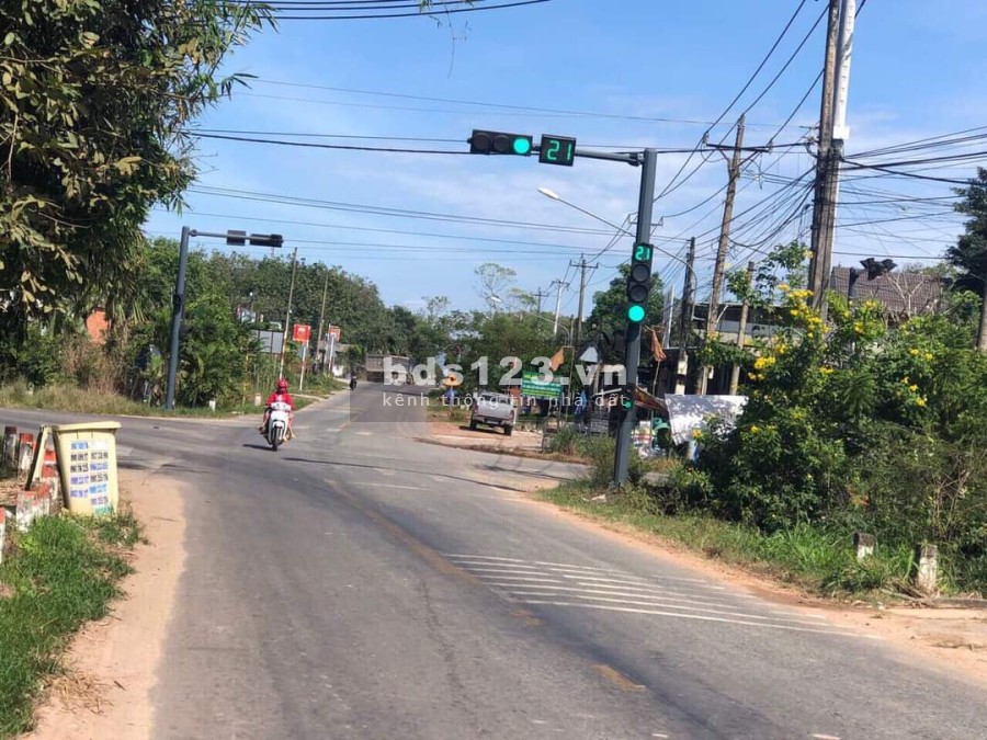 Bán đất mt nhựa ĐT 749D Long Tân Dầu Tiếng, dt 319m2, thổ cư 100m, dân cư đông, shr