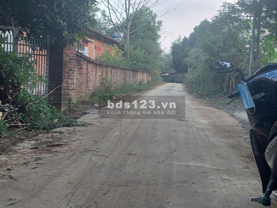 Hơn 4000m còn sót tại Phú Cát giá rẻ bán nhanh liên hệ xem đất 0988303298 giá tốt đầu tư