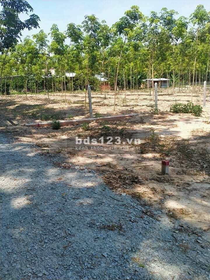 Bán đất thị trấn Lai Uyên gần đường Tự Lực Bàu Bàng, dtsd 5x15m, sổ hồng riêng, giá tốt