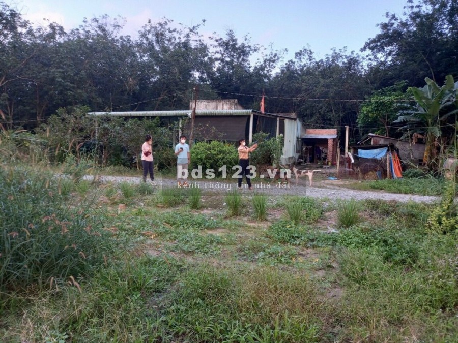 Bán đất thị trấn Lai Uyên gần đường Tự Lực Bàu Bàng, dtsd 5x15m, sổ hồng riêng, giá tốt