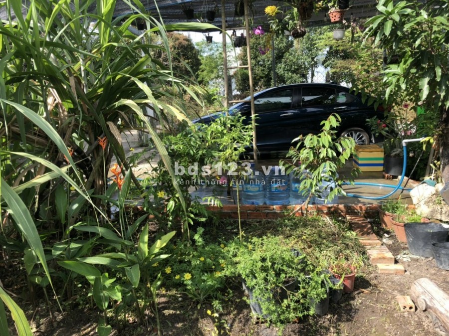 Bán đất vườn tặng căn nhà nhỏ dt gần 400m, thổ cư lên tới 150m, An Sơn, Thuận An, sổ hồng riêng