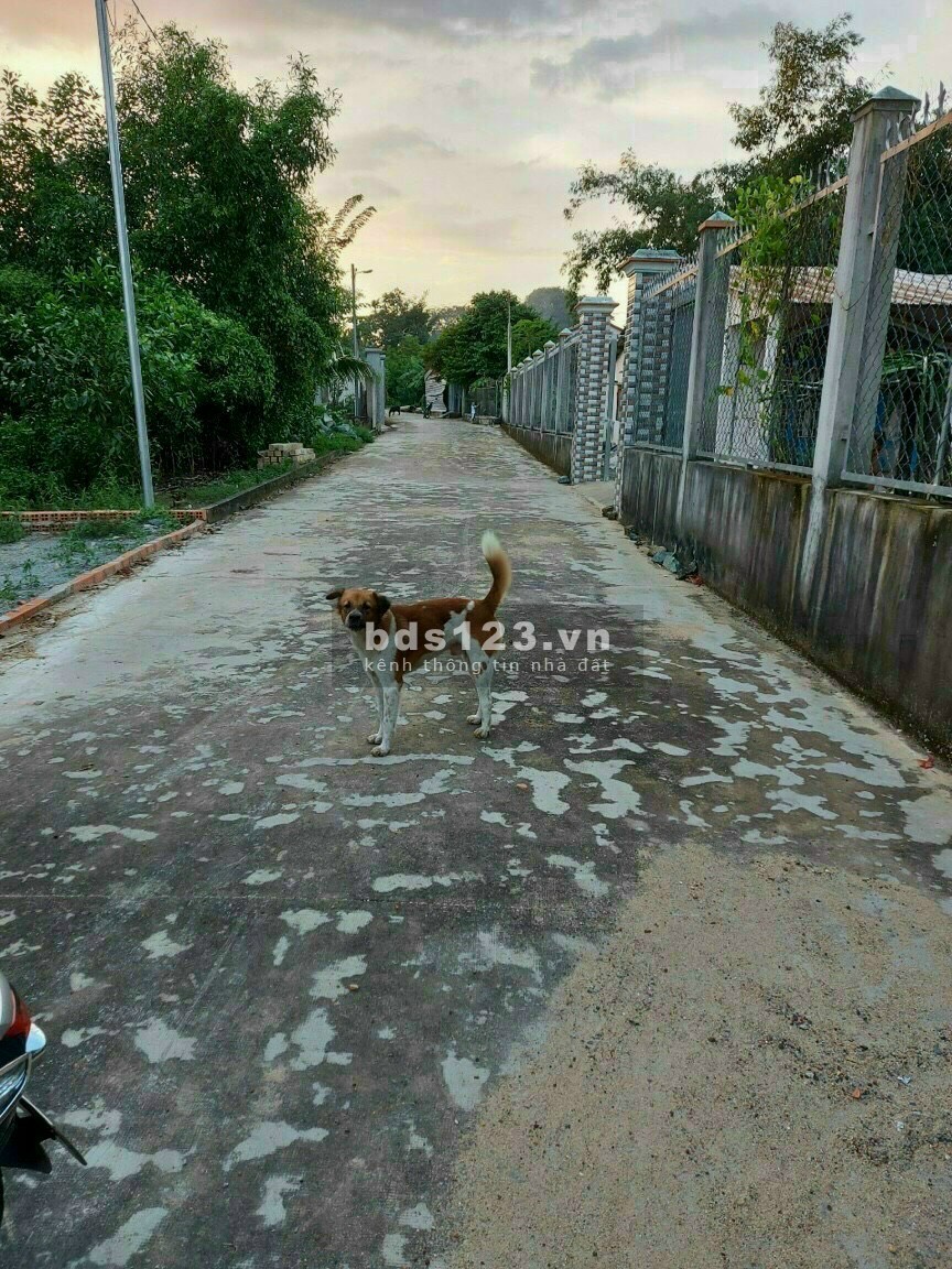 Bán lô đất diện tích 178m2 thổ cư 70m2, Hiệp An Thủ Dầu Một, cách Quốc Lộ 13 1km, sổ hồng riêng