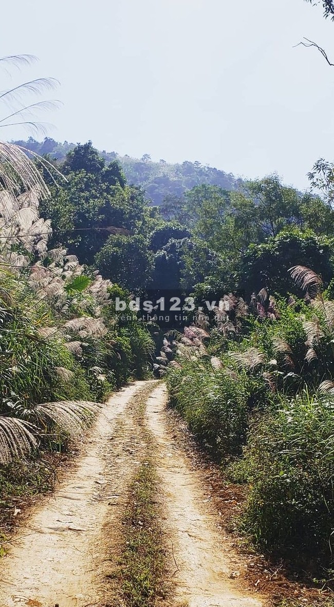 Chính chủ bán nghỉ dưỡng Bãi Dài, Tiến Xuân - Tặng đất liên hệ 0988303298, giá tốt