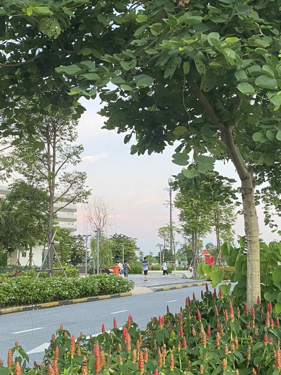 Biệt thự cực sang thiết kế chuẩn Singapore Từ Sơn Bắc Ninh…