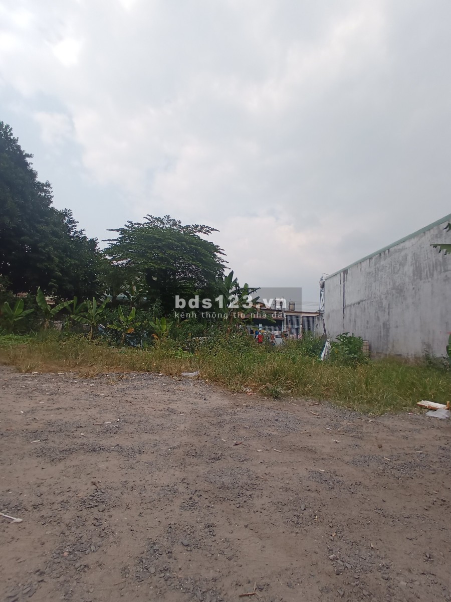Bán đất phường Tam Phước, đường Phùng Hưng sổ hồng riêng, liên hệ 0384613825