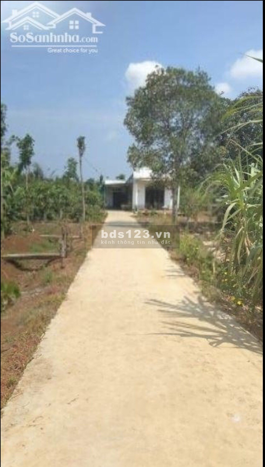 Chính chủ cần tiền bán gấp lô đất dtsd 2ha, xã Sông Ray, Cẩm Mỹ, Đồng Nai, giá tốt đầu tư