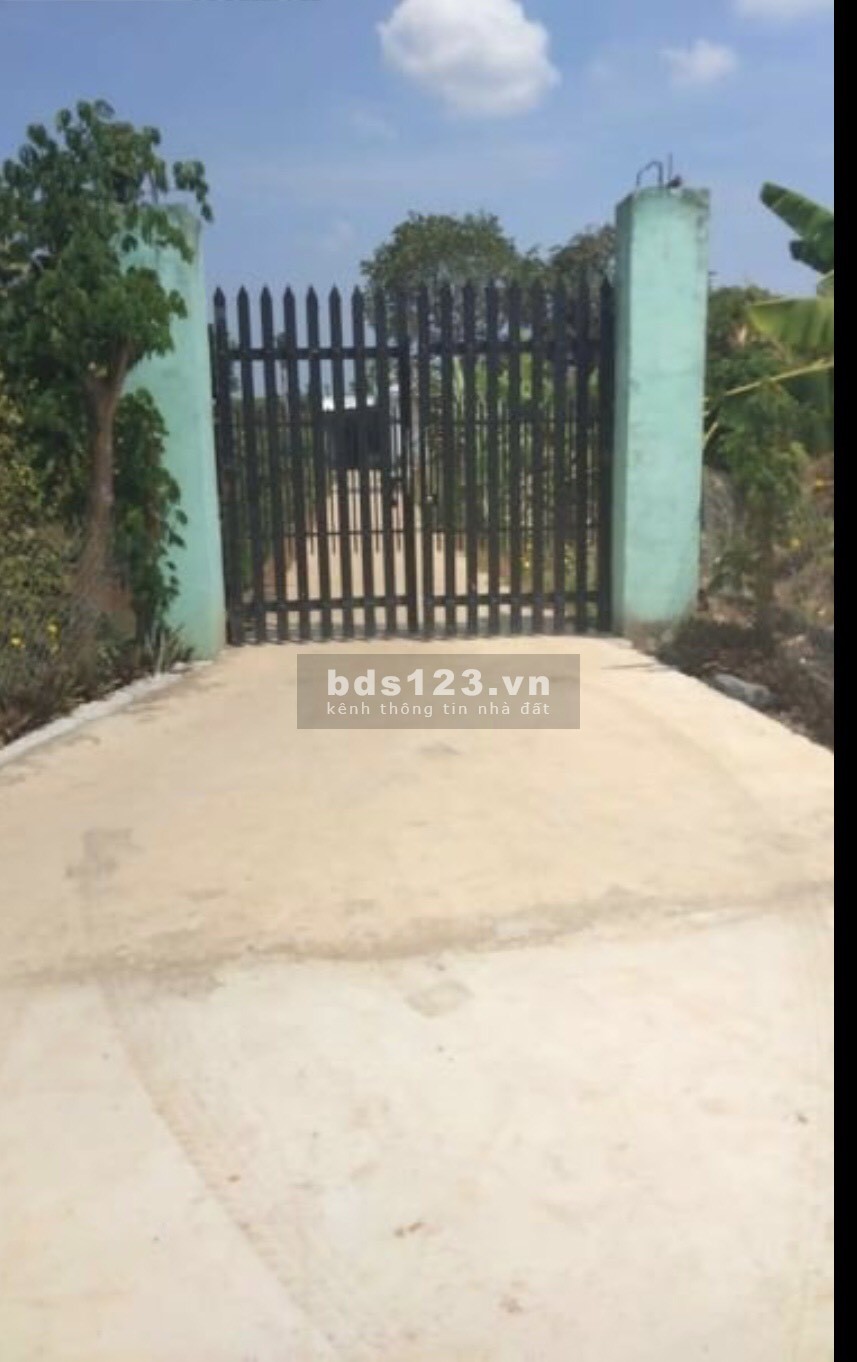 Chính chủ cần tiền bán gấp lô đất dtsd 2ha, xã Sông Ray, Cẩm Mỹ, Đồng Nai, giá tốt đầu tư