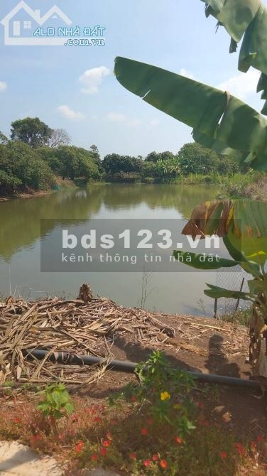 Chính chủ cần tiền bán gấp lô đất dtsd 2ha, xã Sông Ray, Cẩm Mỹ, Đồng Nai, giá tốt đầu tư