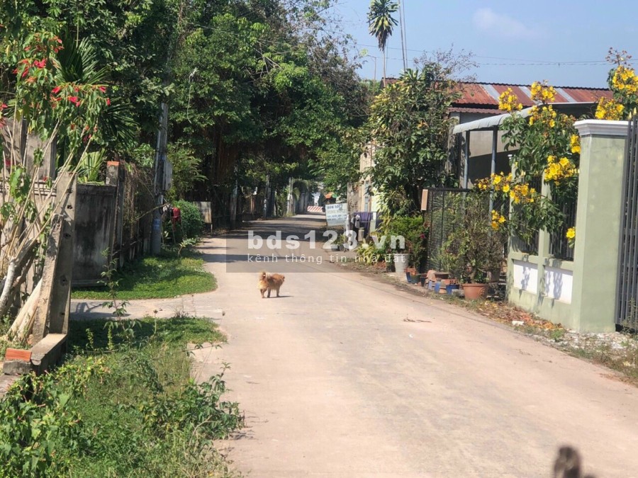 Bán lô đất dt 12×23m, 100m tc TT Lai Uyên, Bàu Bàng, cách ql 13 đúng 200m, gần chợ, trường, dân đông