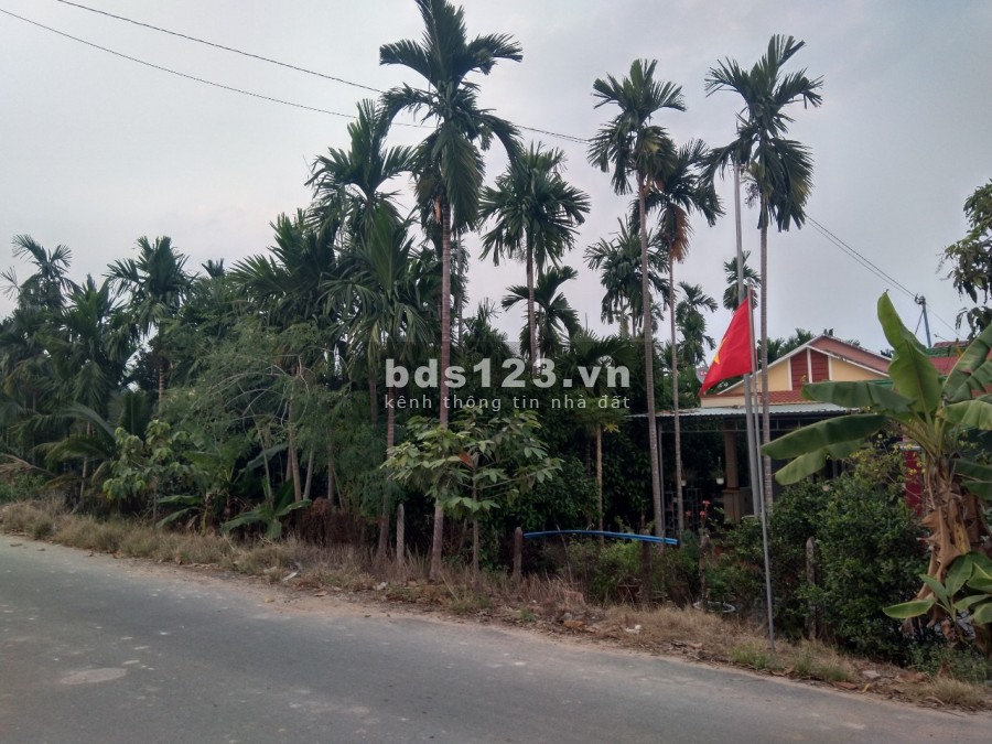 Bán đất (có sẵn nhà) mặt tiền đường An Thạnh 10 liên hệ xem đất 0931239883, giá tốt chính chủ