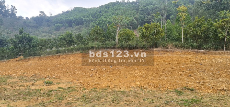 Lô góc đất đẹp diện tích sử dụng 2684m2 Yên Bình, Thạch Thất liên hệ 0988303298