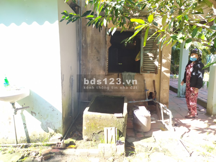 Đất vườn Củ Chi diện tích hơn 6000m2 cho thuê giá 5 triệu/tháng, liên hệ 0906366009