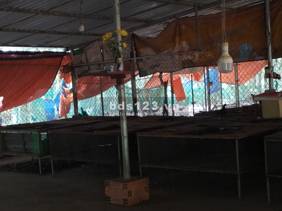 Đất vườn Củ Chi diện tích hơn 6000m2 cho thuê giá 5 triệu/tháng, liên hệ 0906366009