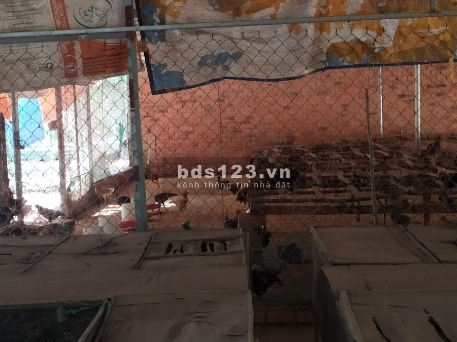 Đất vườn Củ Chi diện tích hơn 6000m2 cho thuê giá 5 triệu/tháng, liên hệ 0906366009