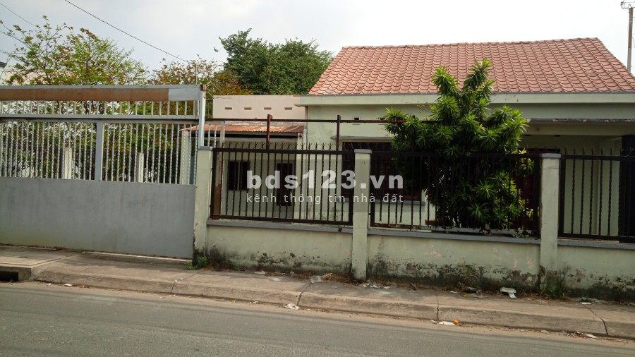 Cho thuê toàn bộ căn nhà ở đường thị trấn Tân Hiệp, cách chợ Hóc Môn 500m.