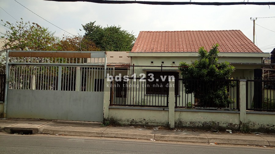 Cho thuê toàn bộ căn nhà ở đường thị trấn Tân Hiệp, cách chợ Hóc Môn 500m.