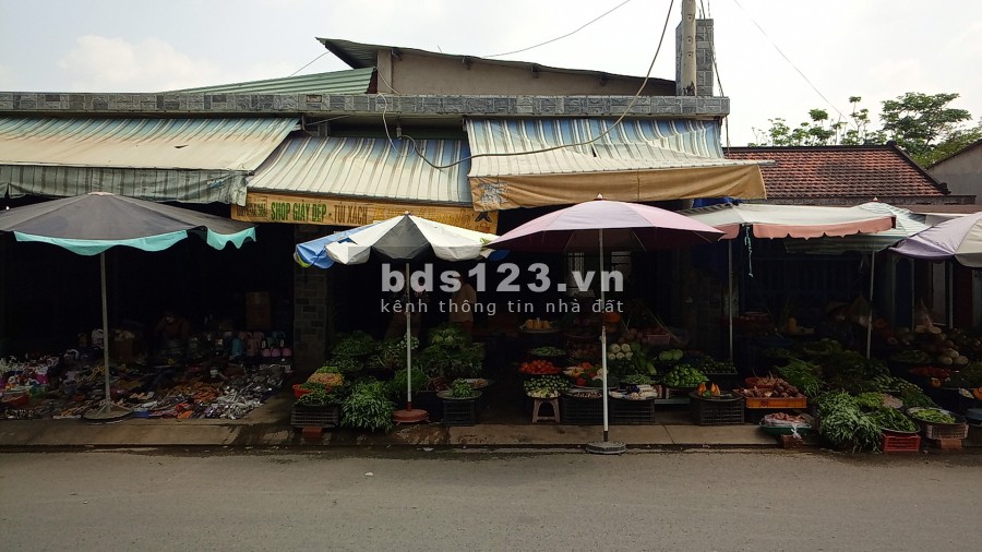 Cho thuê toàn bộ căn nhà ở ngay giữa chợ Ngã Ba Ông Trác, huyện Hóc Môn, TP.HCM
