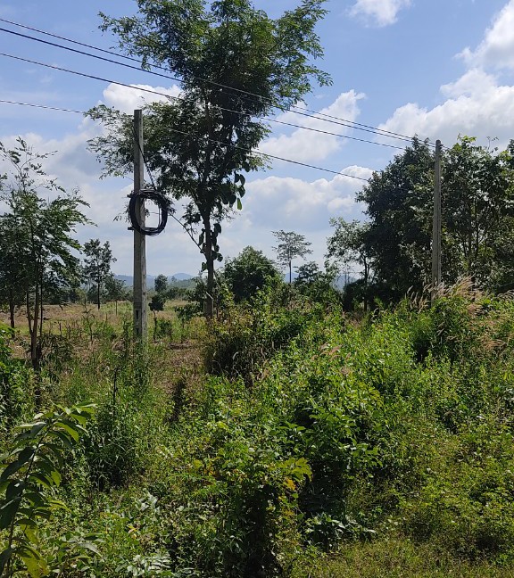 Lô đất đẹp 950 Hecta, hơn 10 km mặt tiền đường tỉnh lộ 1 huyện Buôn Đôn