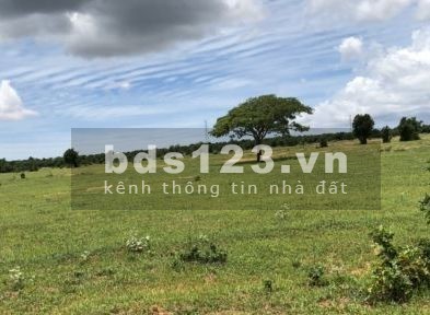 Chỉ 400 triệu có ngay 2000m2 đất đầu tư Bình Thuận vị trí đắc địa, tiện ích xung quanh đầy đủ