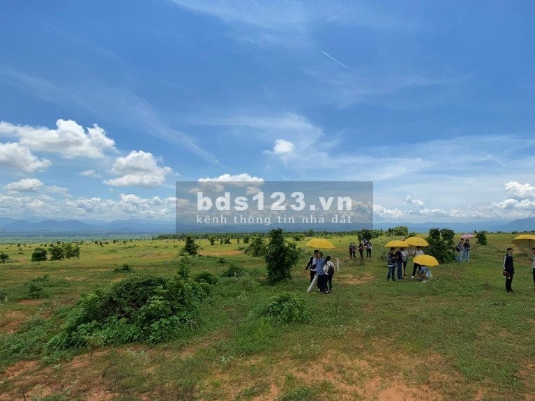 Chính chủ cần bán 4,567m2 TT. Lương Sơn, Bắc Bình, Bình Thuận liên hệ 0782335571