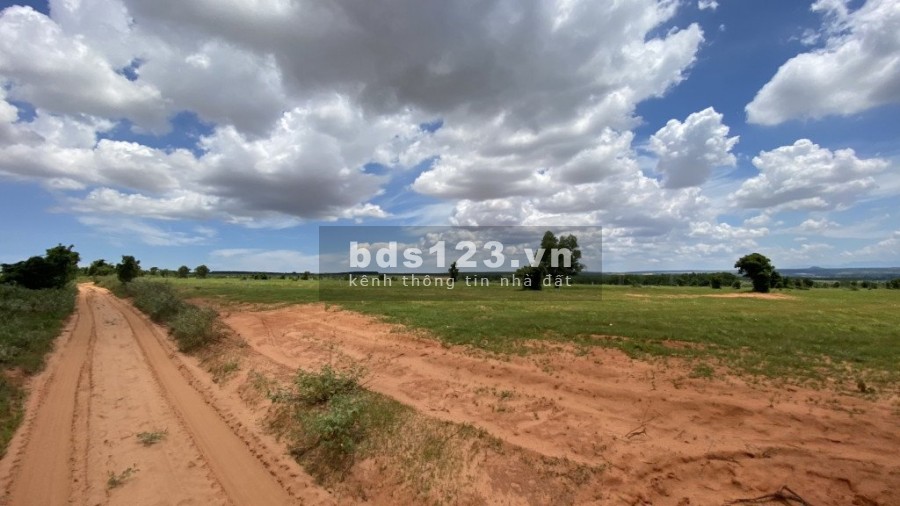 Chính chủ cần bán 4,567m2 TT. Lương Sơn, Bắc Bình, Bình Thuận liên hệ 0782335571