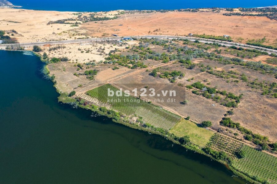 Chính chủ cần bán gấp lô 11.408 m2, Bình Tân – Bắc Bình – Bình Thuận liên hệ 0782335571
