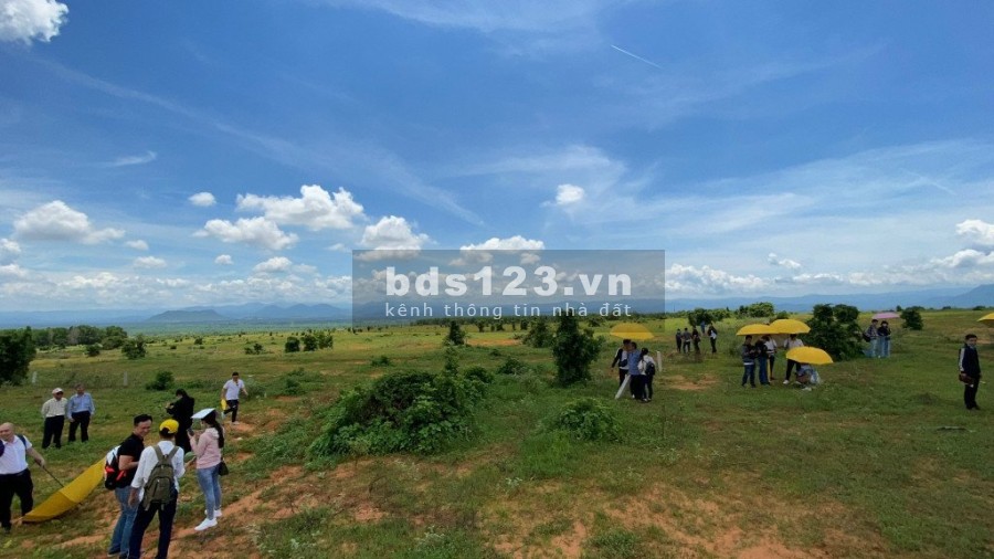 Chính chủ cần bán lô đất diện tích 5038m2 Phan Hệp, Bắc Bình, Bình Thuận lh 0782335571