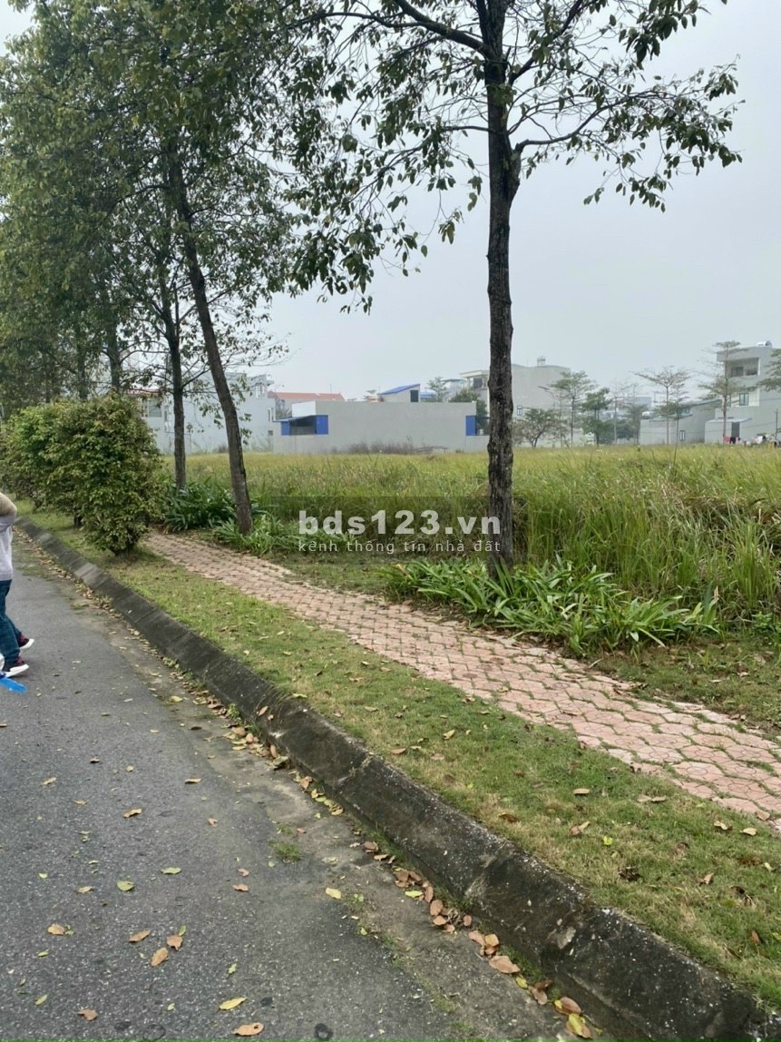 Khu A Vgreen City Phố Nối. Giá 17.5 triệu/m2 Liên hệ 0799836888 pháp lý chính chủ