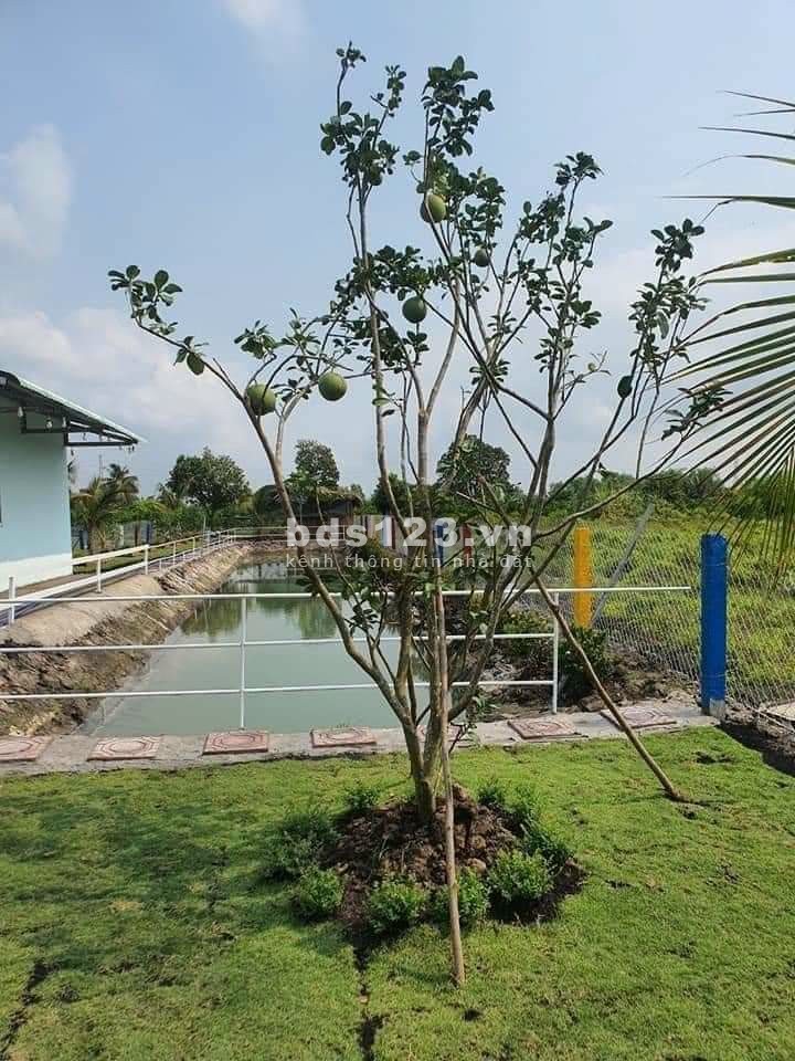 Bán nhà vườn nghỉ dưỡng hoàn chỉnh đẹp Thủ Thừa Long An. DT 1000m, xe hơi vào tận sân. Giá chỉ 2,5tỷ