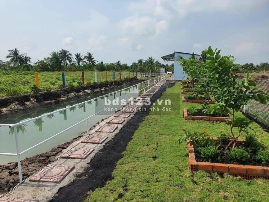 Bán nhà vườn nghỉ dưỡng hoàn chỉnh đẹp Thủ Thừa Long An. DT 1000m, xe hơi vào tận sân. Giá chỉ 2,5tỷ