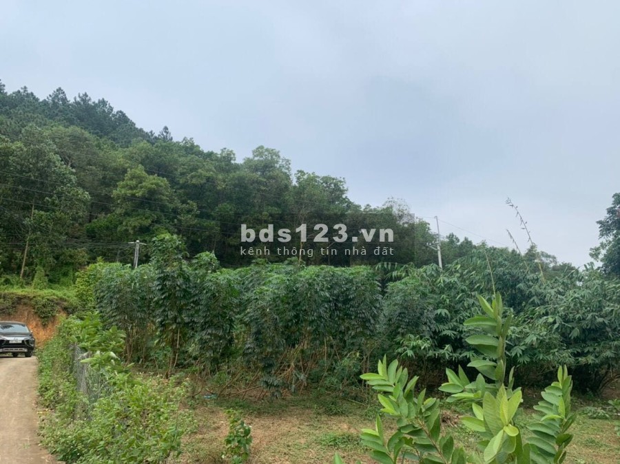 Ô đất lô góc tựa sơn sát thuỷ thích hợp đầu tư nghỉ dưỡng Homestay, giá tốt, pháp lý chuẩn