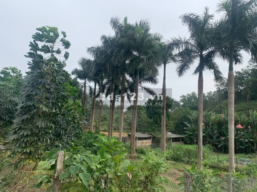 Ô đất lô góc tựa sơn sát thuỷ thích hợp đầu tư nghỉ dưỡng Homestay, giá tốt, pháp lý chuẩn