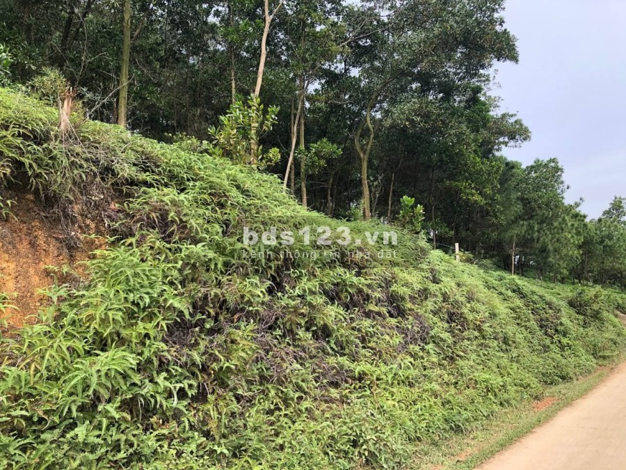 Ô đất lô góc tựa sơn sát thuỷ thích hợp đầu tư nghỉ dưỡng Homestay, giá tốt, pháp lý chuẩn