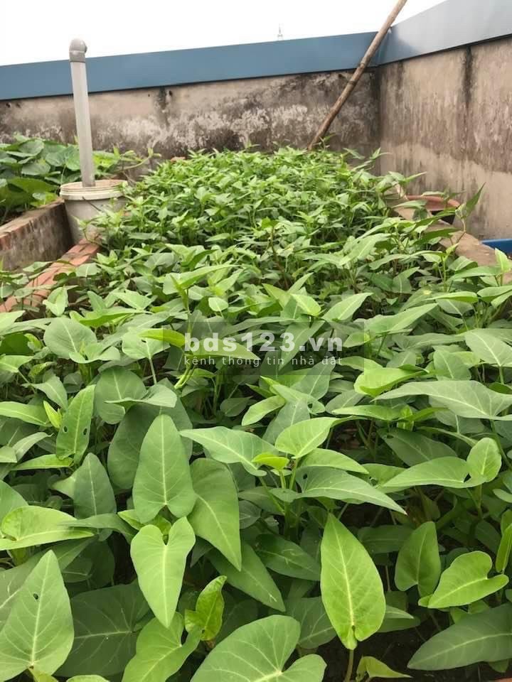 Bán căn hộ Duplex chung cư CT2B NAM CƯỜNG, sổ đỏ chính chủ môi trường sống yên tĩnh