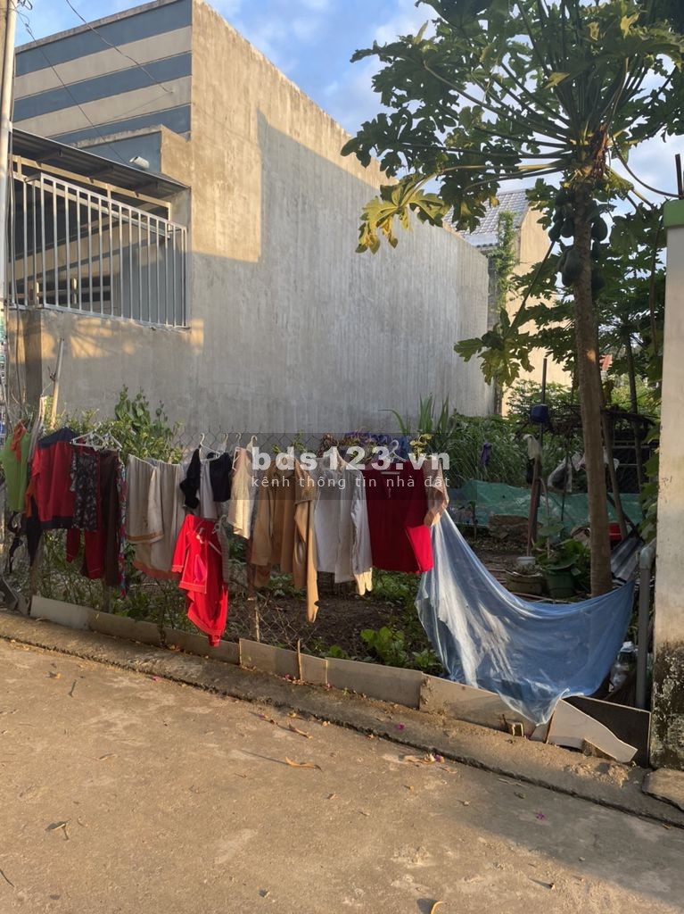 Nhà cần tiền làm ăn nên muốn bán gấp 3 lô đất này kèm nhà trọ ở Bến Cát Bình Dương